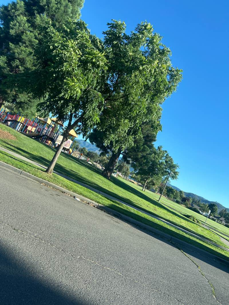 walking near me in Lewis Park in summer