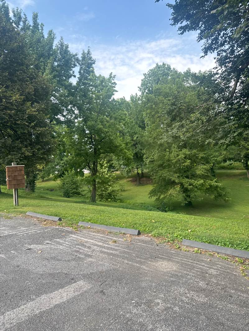 walking near me in Woodland Park in autumn