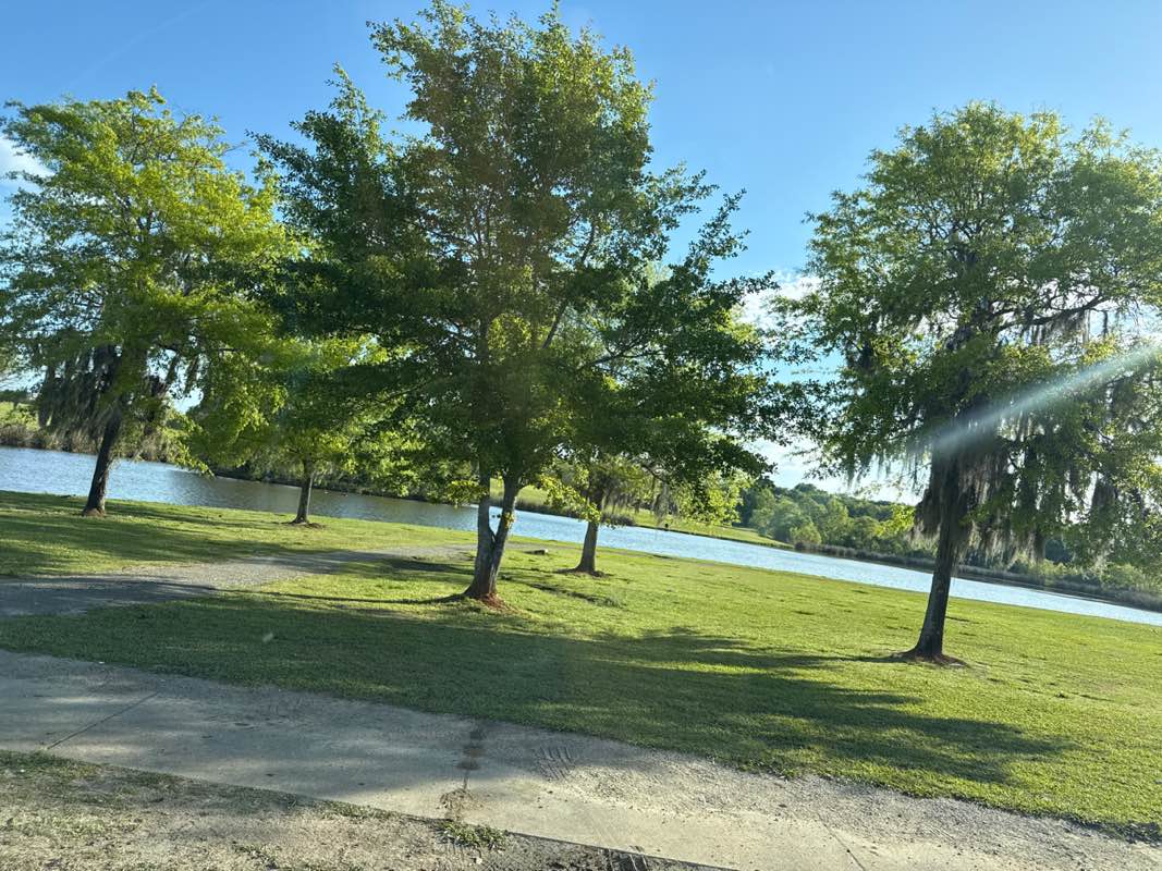 walking near me in Blount Cultural Park in spring