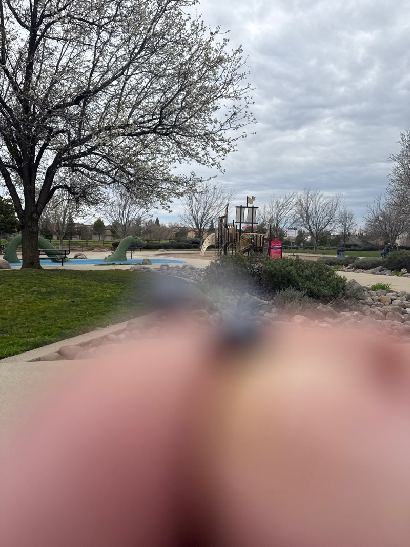 walking near me in Melba and William Erven Park in winter