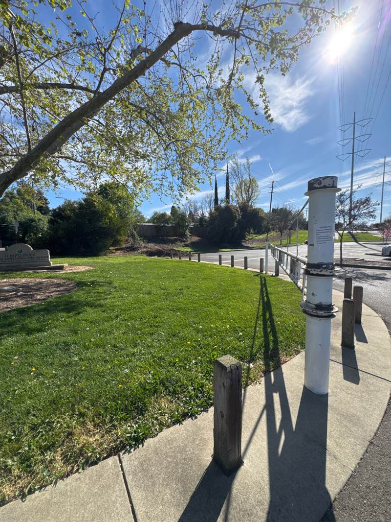 walking near me in Tempo Park in spring