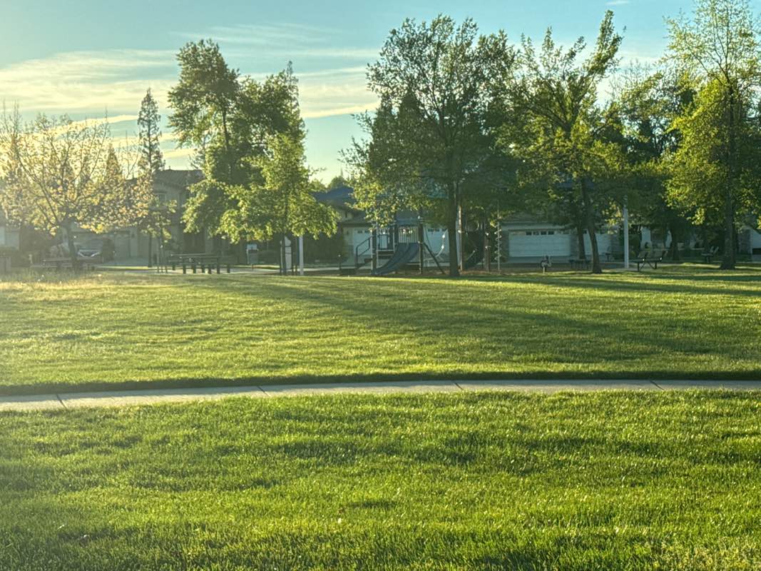 walking near me in Cambria Park in spring