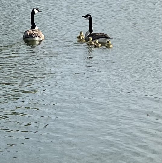 Allen Broeker post 1