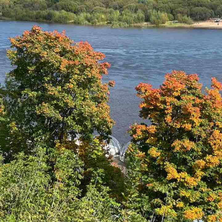 Жиротоп Ирина post image