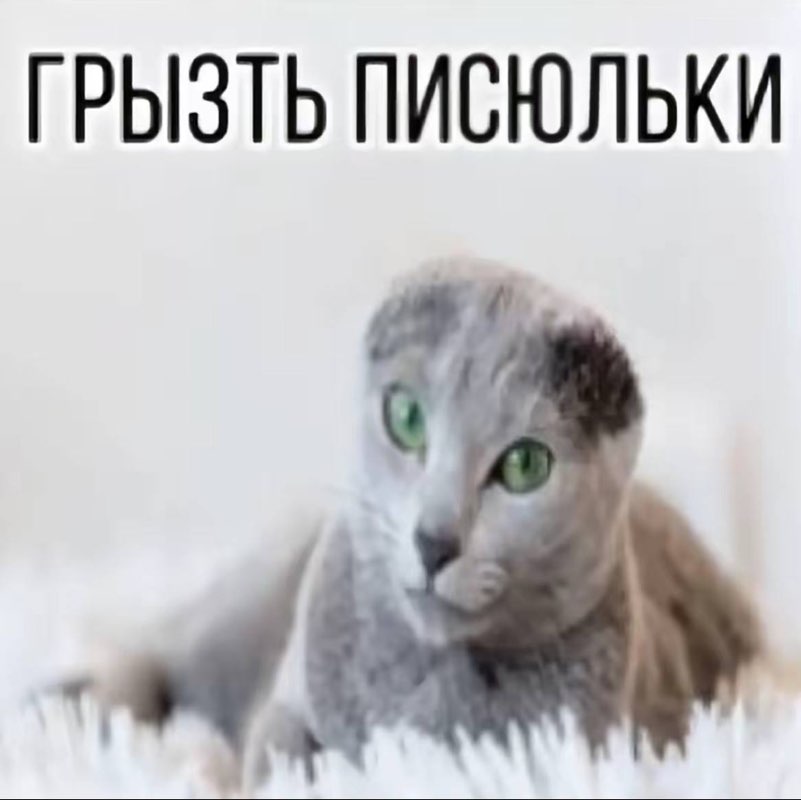 Валерия profile