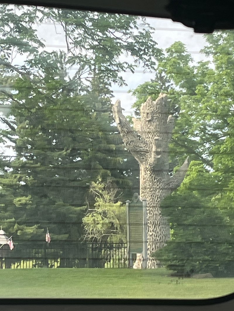 walking near me in McCourtie Park in summer