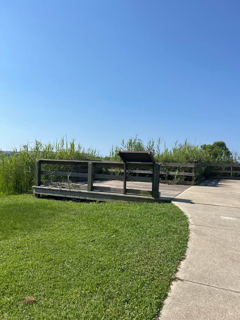 walking near me in Liza Jackson Park in summer