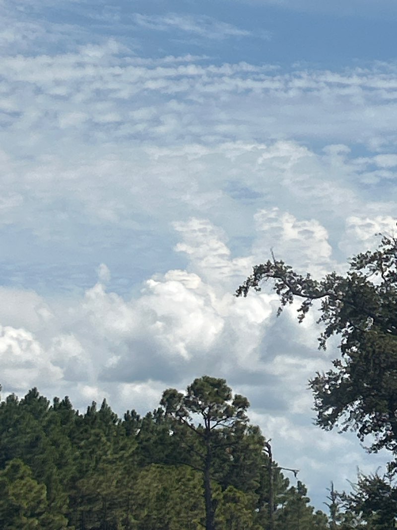 walking near me in Heritage Park in autumn