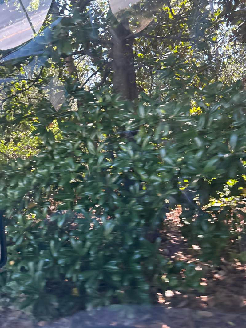 walking near me in Oak Tree Nature Park in autumn