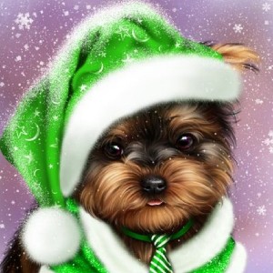 🇩🇪Monka🖤❤💛🍀🤶 icon