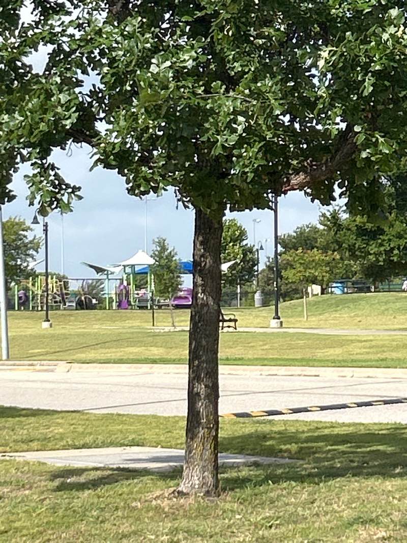 walking near me in Lions Club Park in summer