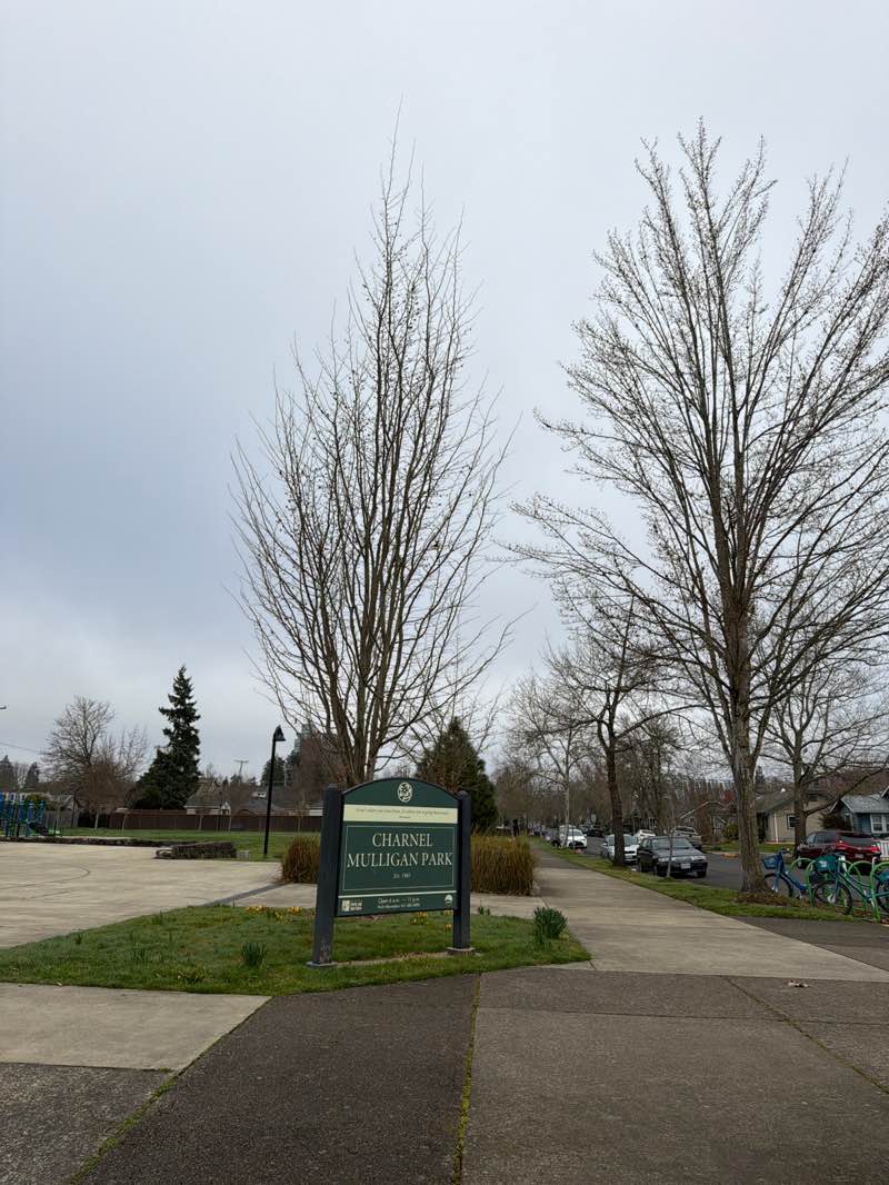 walking near me in Charnel Mulligan City Park in winter