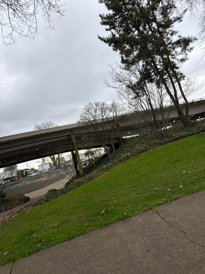 walking near me in Washington/Jefferson City Park in spring