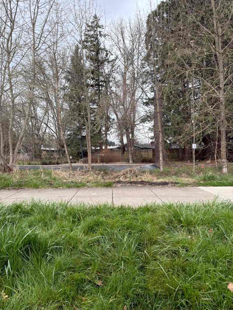 walking near me in Tugman Park in spring