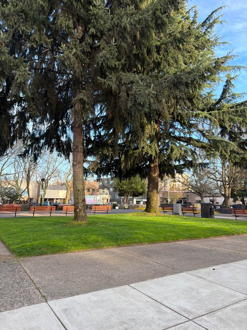 walking near me in Park Blocks in spring