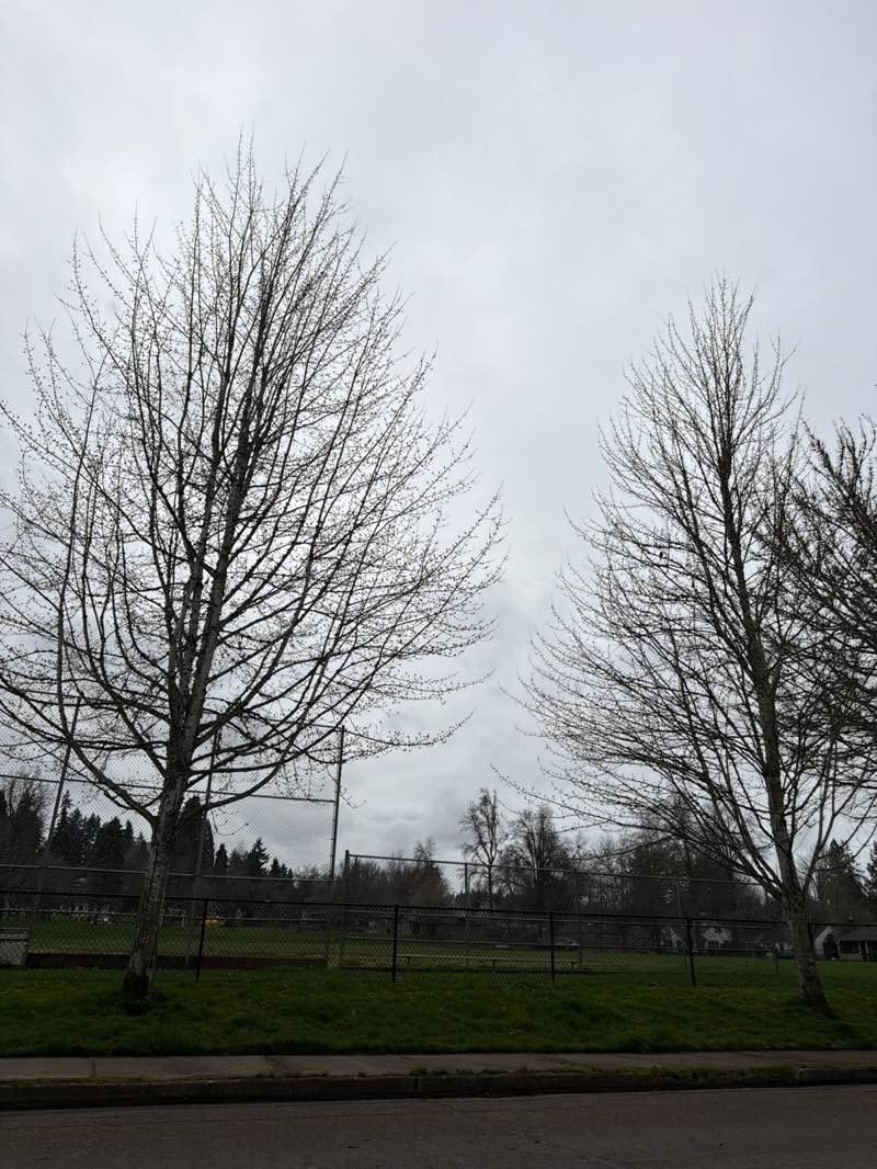 walking near me in Washington City Park in spring