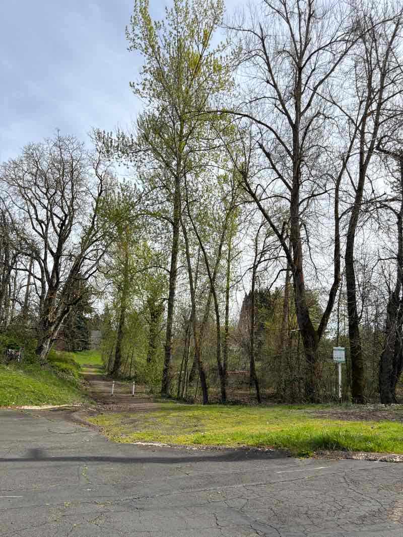 walking near me in Sorrel Way City Park in spring