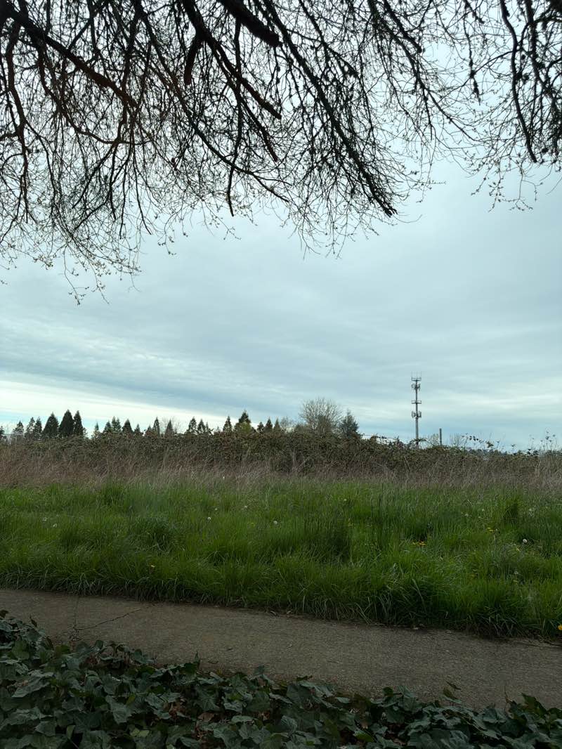 walking near me in Berkley Park in spring