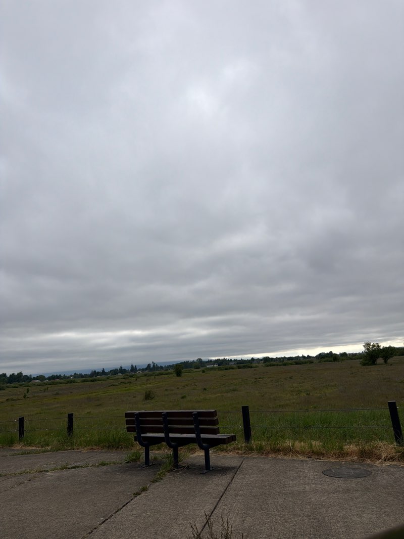 walking near me in Meadowlark Prairie in summer