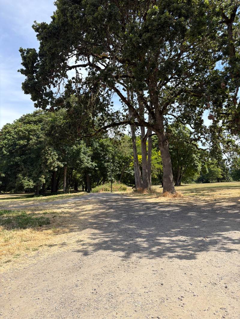 walking near me in Kiwanis Park in summer