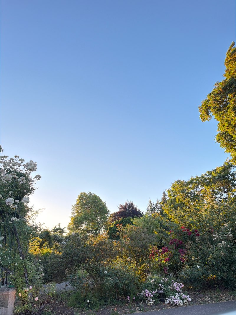 walking near me in Owen Rose Garden in summer