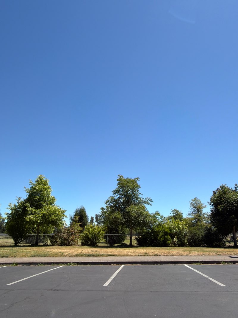 walking near me in Lively Park in summer