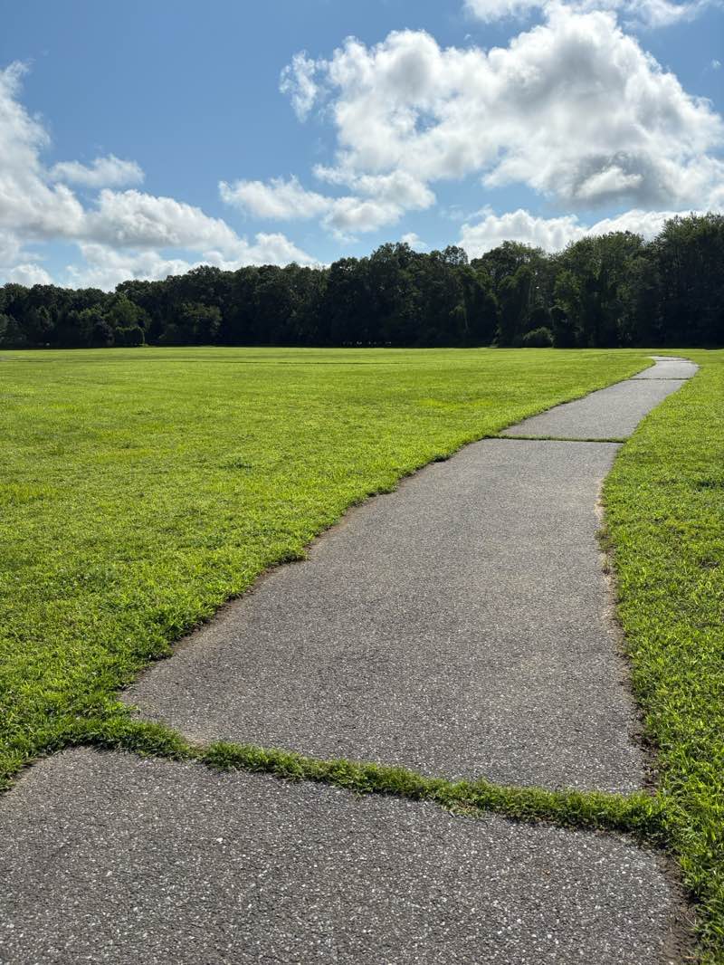 walking near me in Ashley Drive Park in summer
