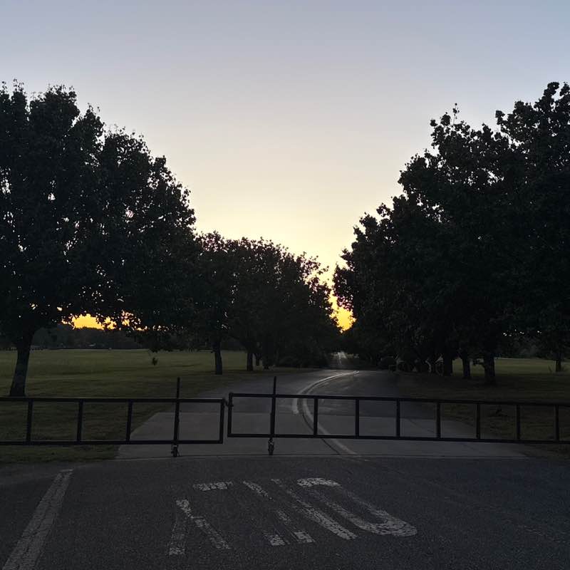 Megreenyoublue post 1