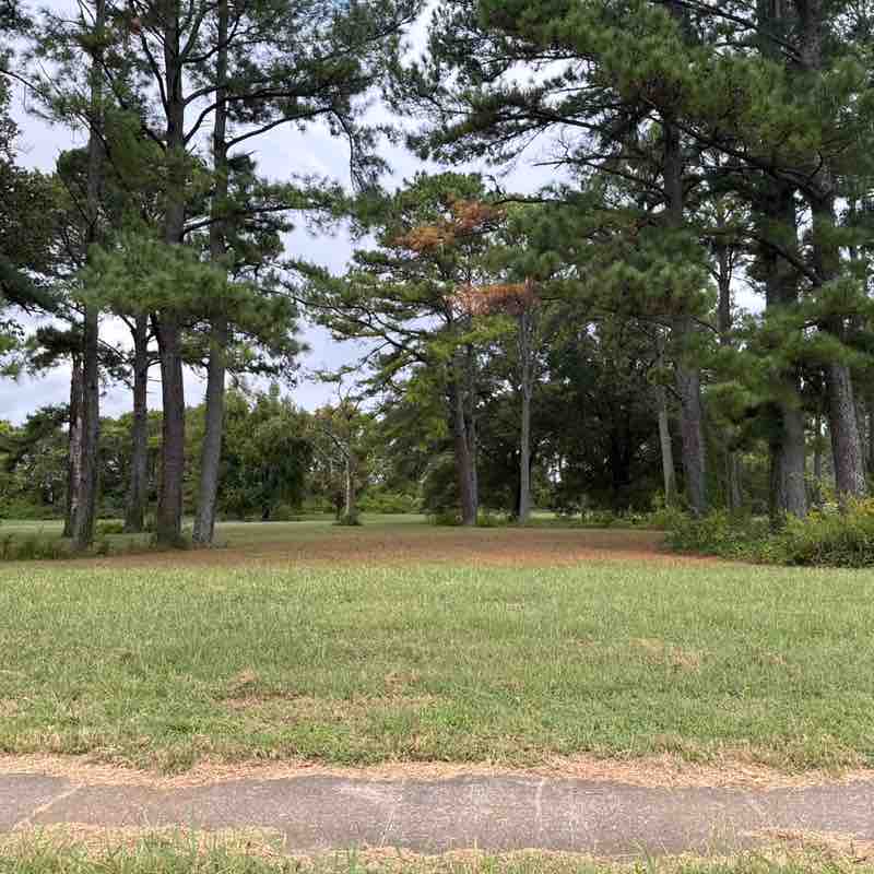 Megreenyoublue post 1