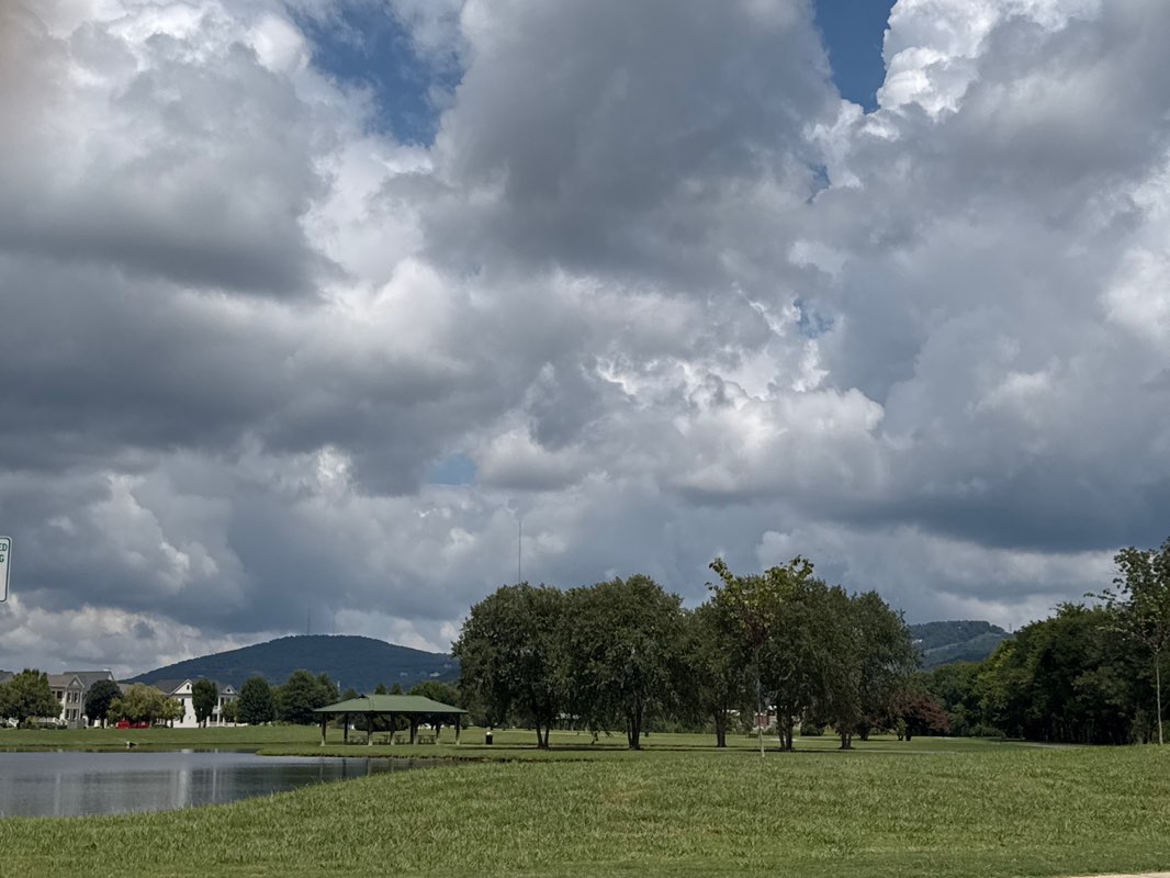 walking near me in Jones Family Park in autumn
