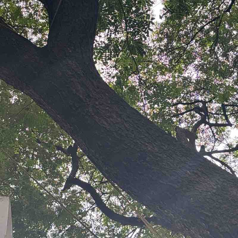 Jyotii post 1