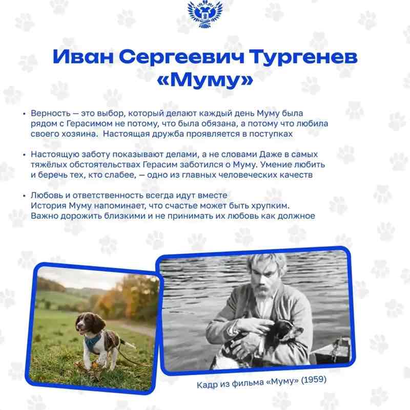= ОТКРЫТАЯ КНИГА = 📖📚 Svetlana post image