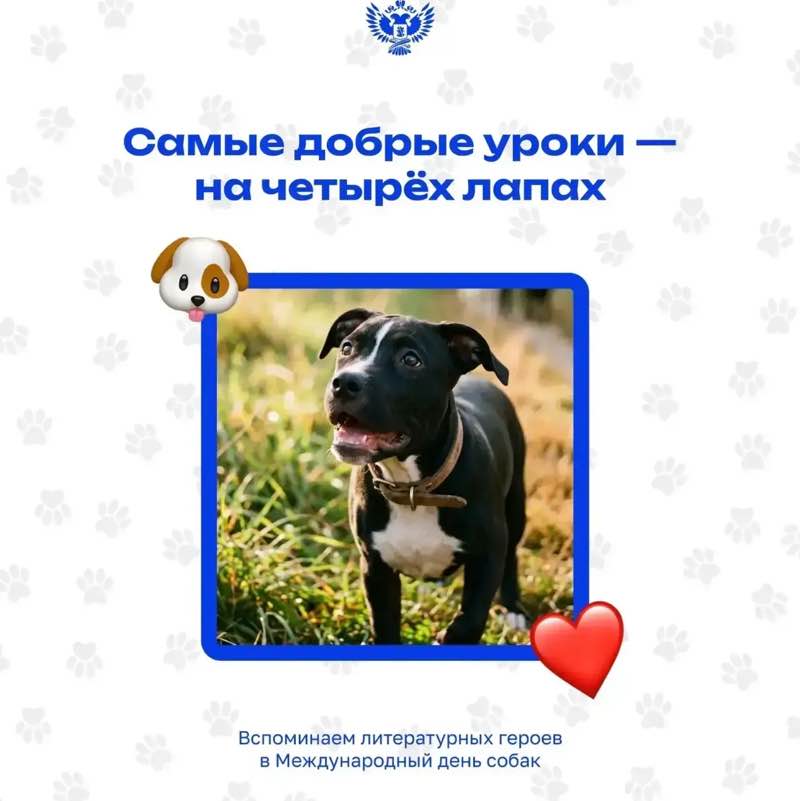 = ОТКРЫТАЯ КНИГА = 📖📚 Svetlana post image