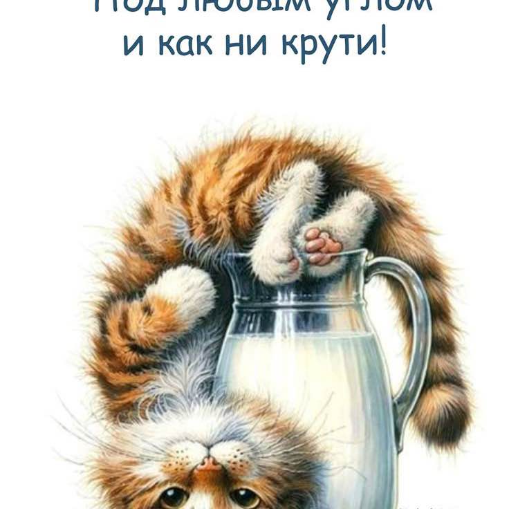 Svetlana post 2
