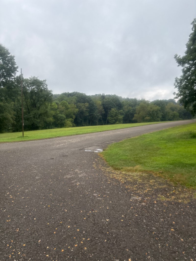 walking near me in South Park in autumn