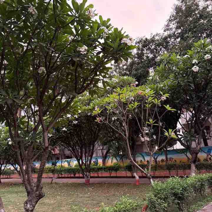 Diksha post 1