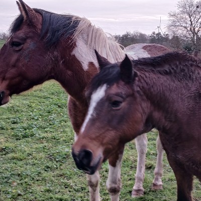 August 5k Race #1 Laurent BZH🇫🇷 post image