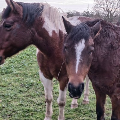 August 5k Race #1 Laurent BZH🇫🇷 post image