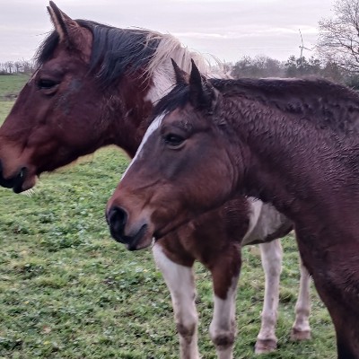 August 5k Race #1 Laurent BZH🇫🇷 post image