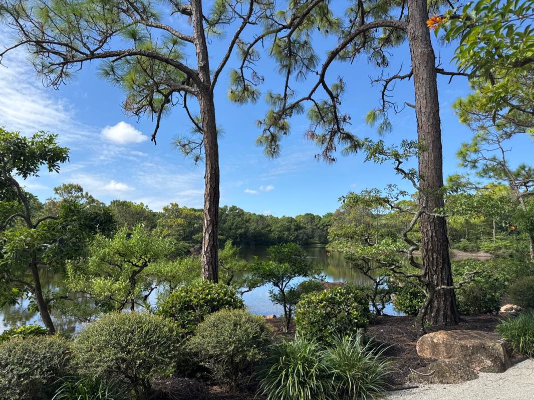 walking near me in Morikami Museum and Japanese Gardens in autumn