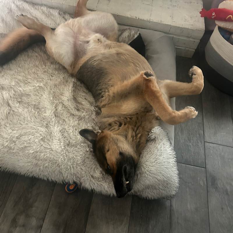 Business Solutions irene post image