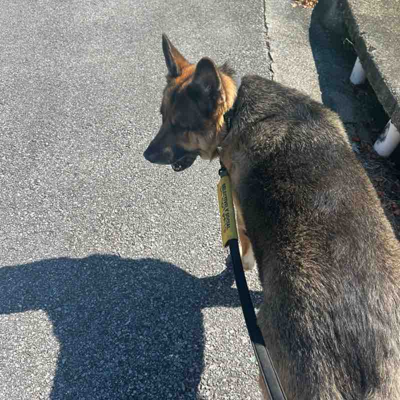 Business Solutions irene post image