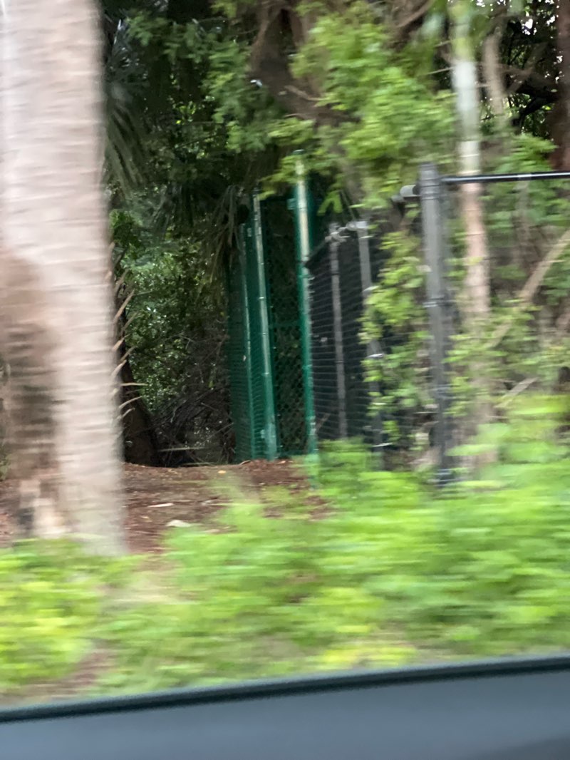 walking near me in Stan Goldman Memorial Park in autumn