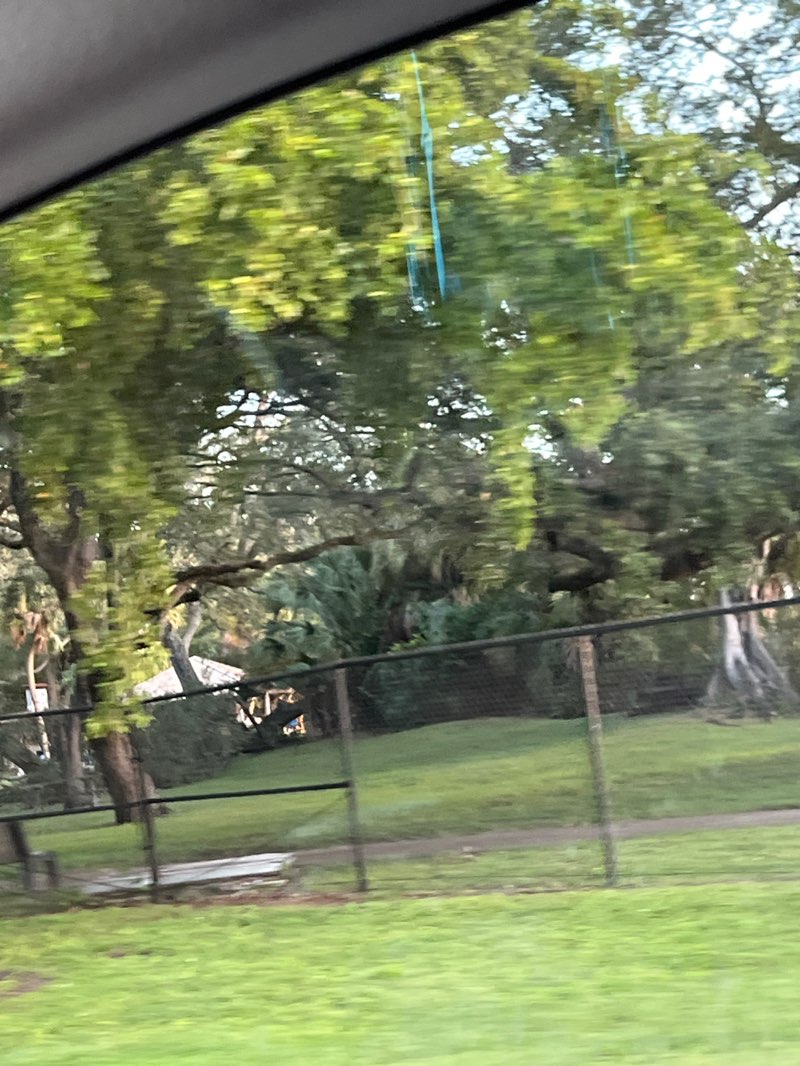 walking near me in Topeekeegee Yugnee Park in autumn