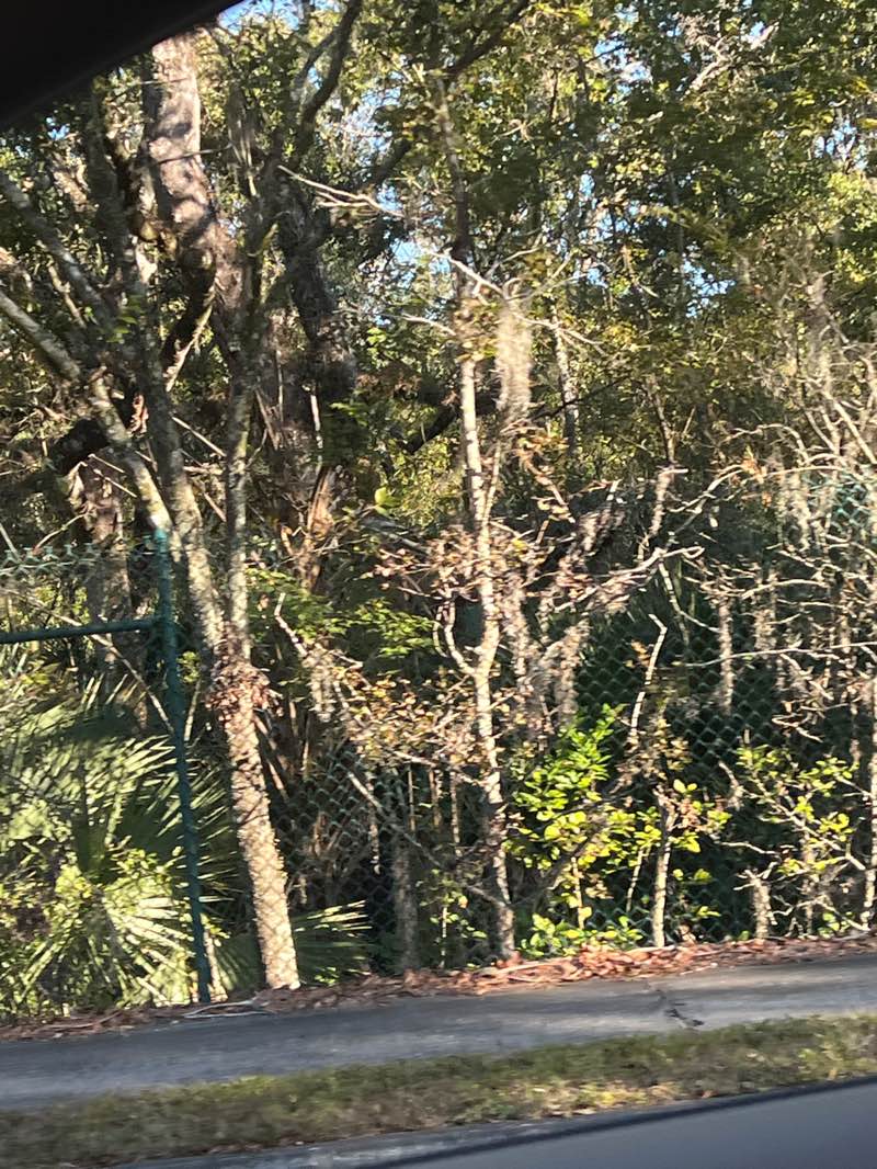 walking near me in Riverfront Park in autumn