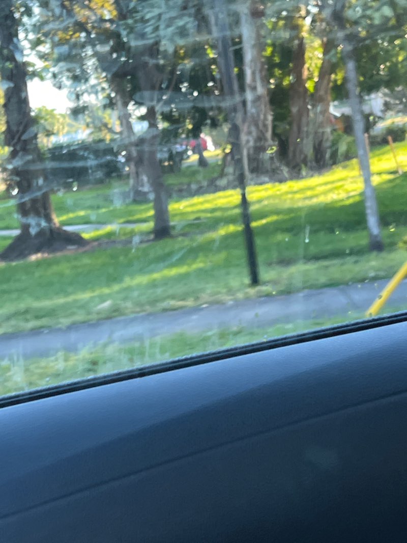 walking near me in Kiwanis Park in autumn