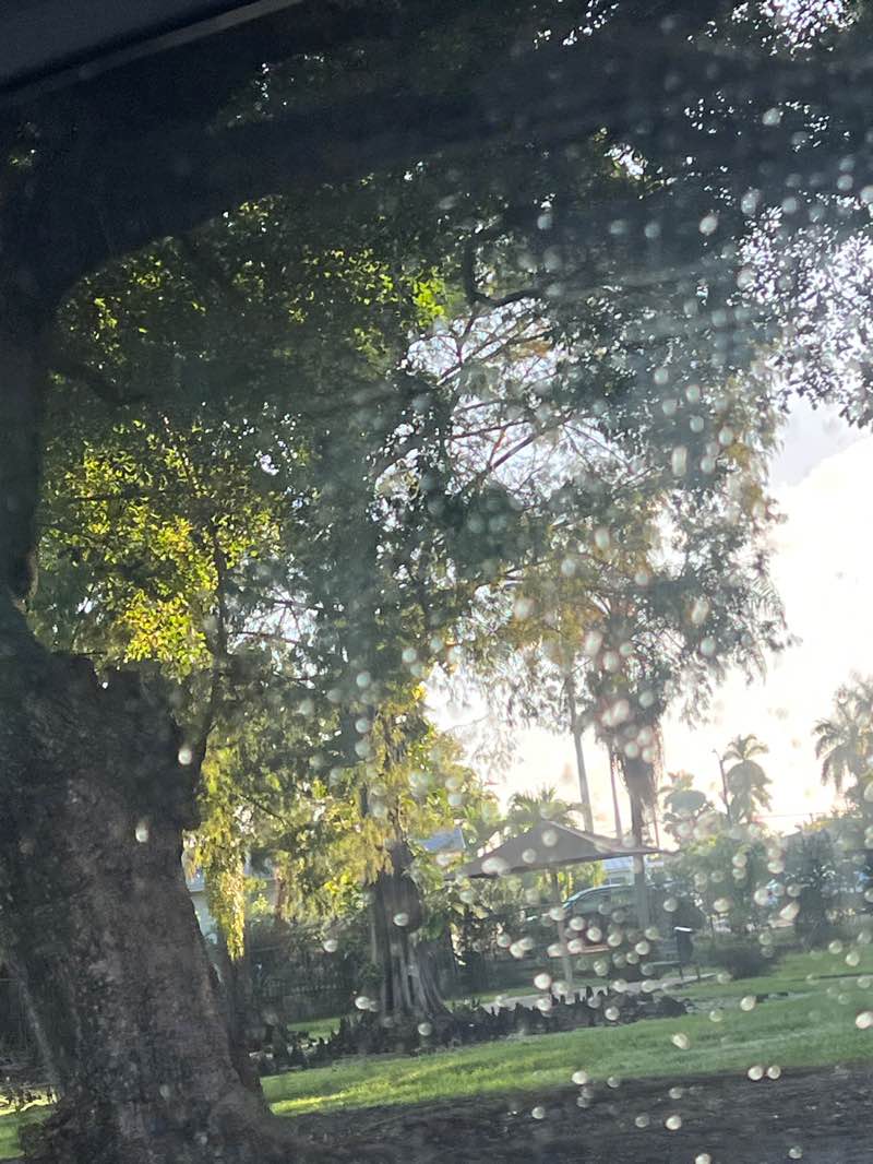 walking near me in Kiwanis Park in winter