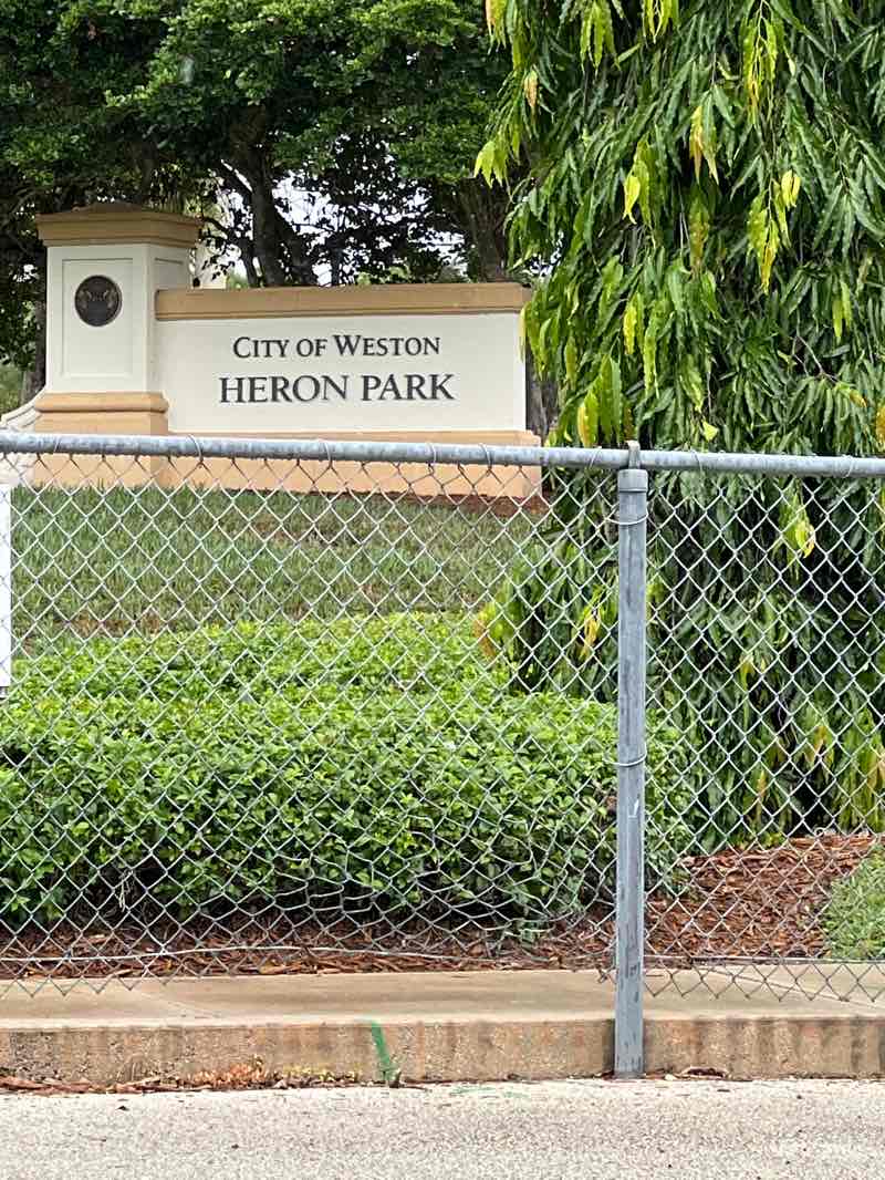 walking near me in Heron Park in summer