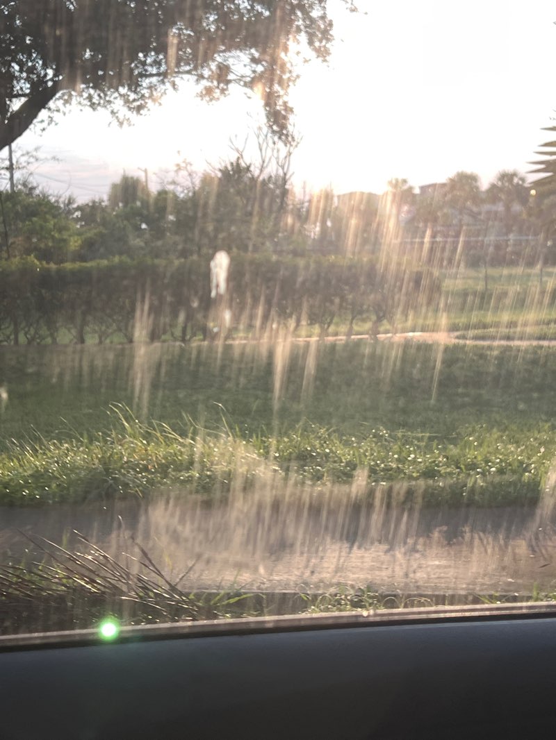 walking near me in Lincoln Park in autumn