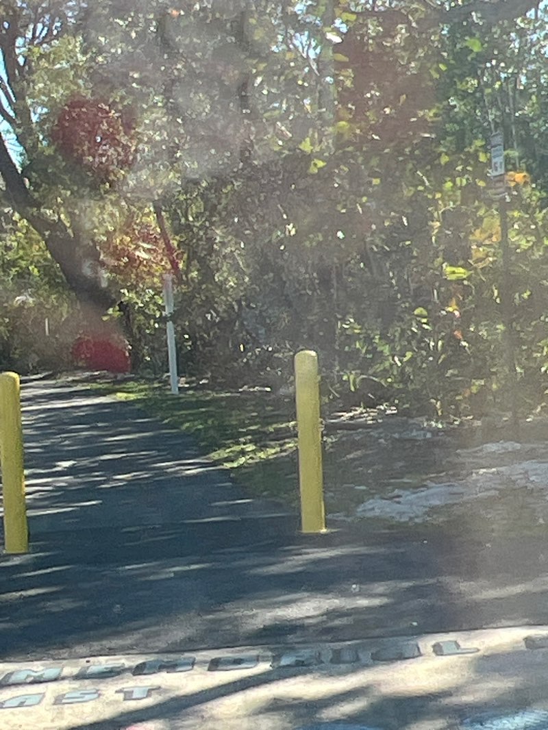 walking near me in Stan Goldman Memorial Park in winter
